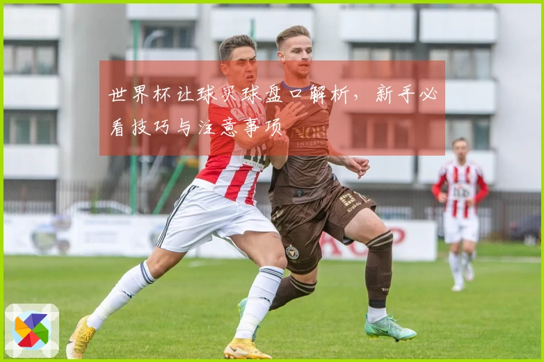 世界杯让球买球盘口解析，新手必看技巧与注意事项