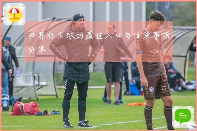 世界杯买球的最佳入口与注意事项分享