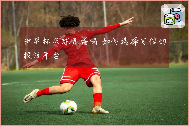 世界杯买球靠谱吗 如何选择可信的投注平台