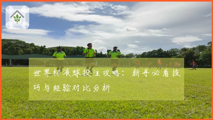 世界杯滚球投注攻略：新手必看技巧与经验对比分析