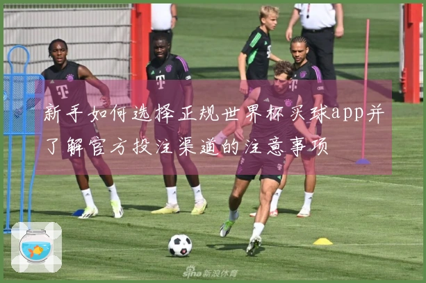 新手如何选择正规世界杯买球app并了解官方投注渠道的注意事项