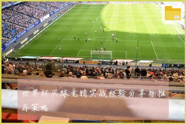 世界杯买球竞猜实战经验分享与推荐策略