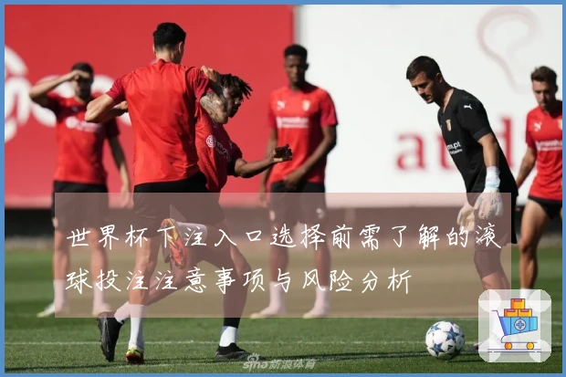 世界杯下注入口选择前需了解的滚球投注注意事项与风险分析