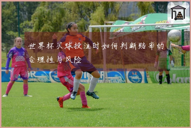 世界杯买球投注时如何判断赔率的合理性与风险