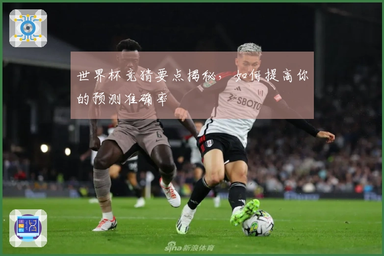 世界杯竞猜要点揭秘，如何提高你的预测准确率