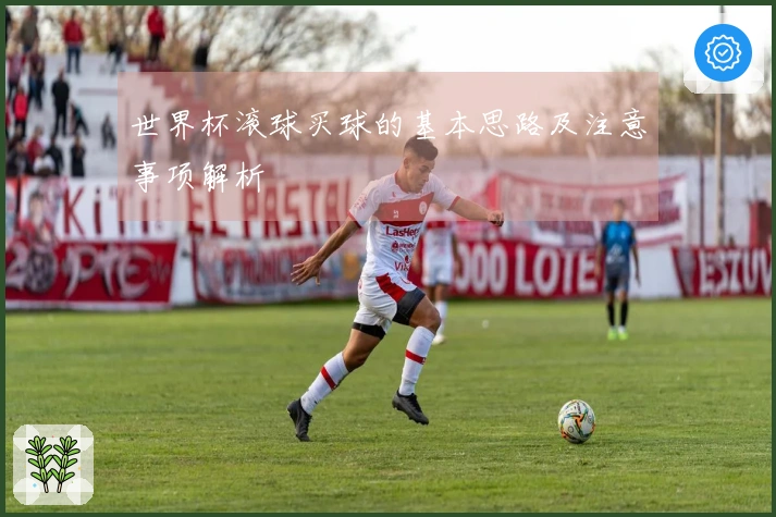 世界杯滚球买球的基本思路及注意事项解析