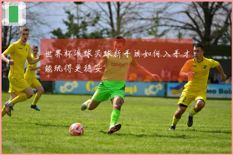 世界杯滚球买球新手该如何入手才能玩得更稳妥