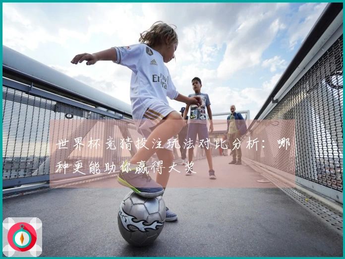 世界杯竞猜投注玩法对比分析：哪种更能助你赢得大奖