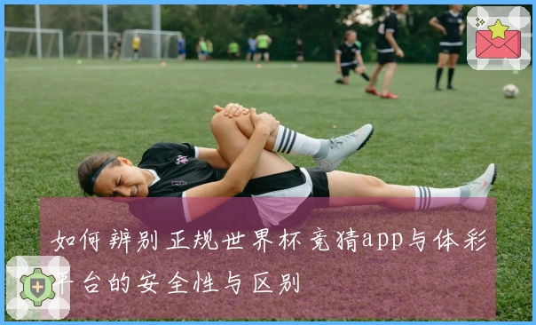 如何辨别正规世界杯竞猜app与体彩平台的安全性与区别