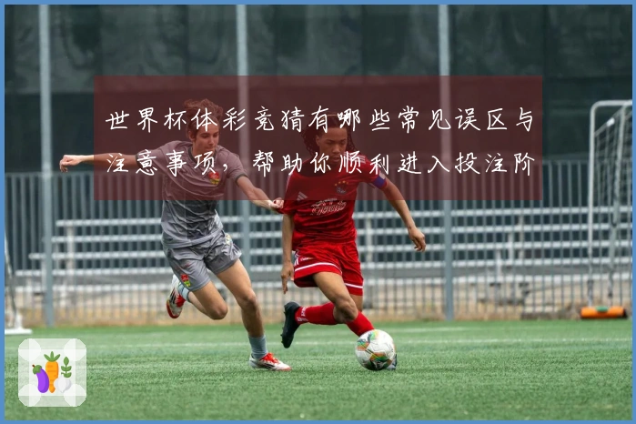 世界杯体彩竞猜有哪些常见误区与注意事项，帮助你顺利进入投注阶段