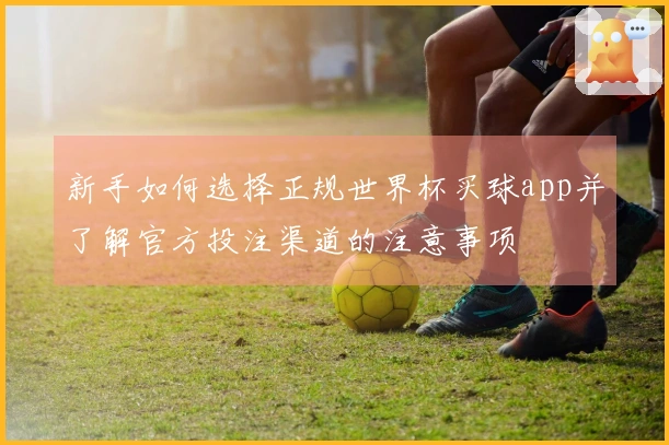 新手如何选择正规世界杯买球app并了解官方投注渠道的注意事项