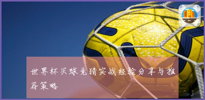 世界杯买球竞猜实战经验分享与推荐策略