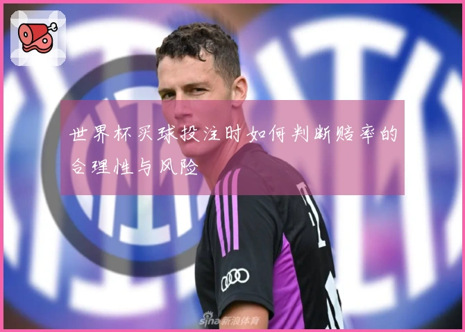 世界杯买球投注时如何判断赔率的合理性与风险