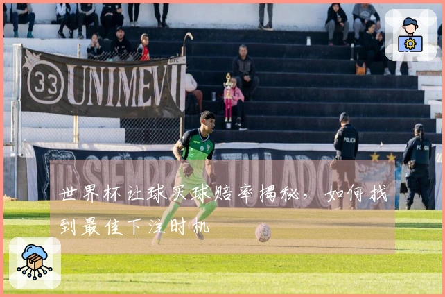 世界杯让球买球赔率揭秘，如何找到最佳下注时机