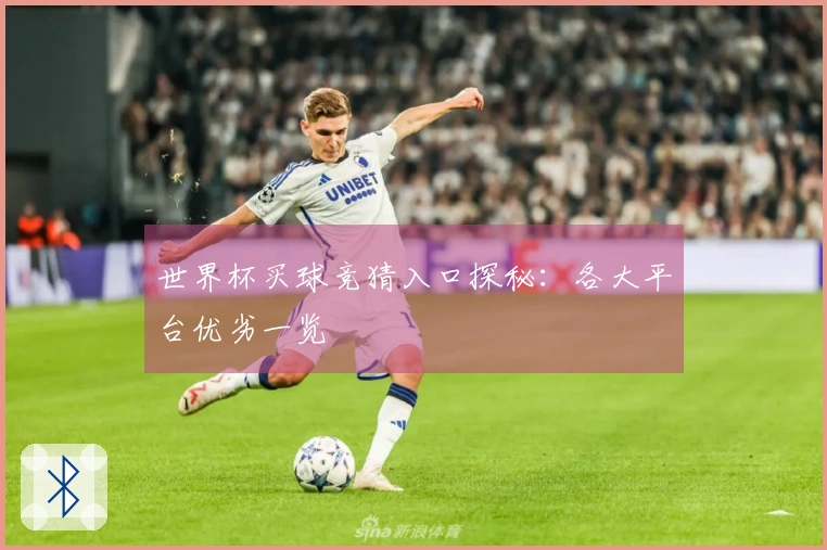 世界杯买球竞猜入口探秘：各大平台优劣一览