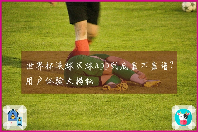 世界杯滚球买球App到底靠不靠谱？用户体验大揭秘