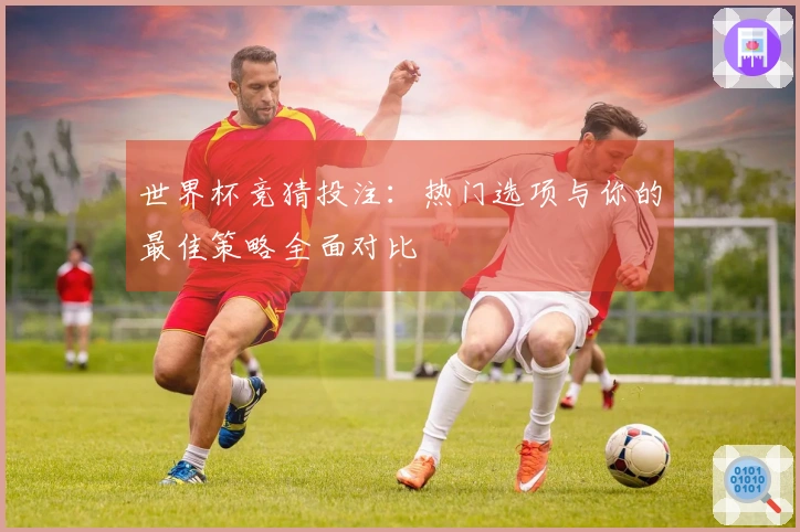 世界杯竞猜投注：热门选项与你的最佳策略全面对比