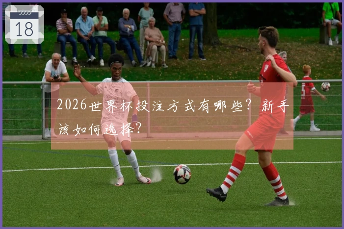 2026世界杯投注方式有哪些？新手该如何选择？