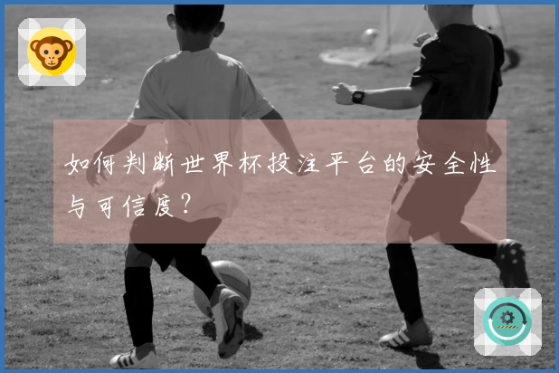 如何判断世界杯投注平台的安全性与可信度？